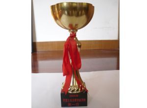 2004年度民營(yíng)企業(yè)注冊(cè)